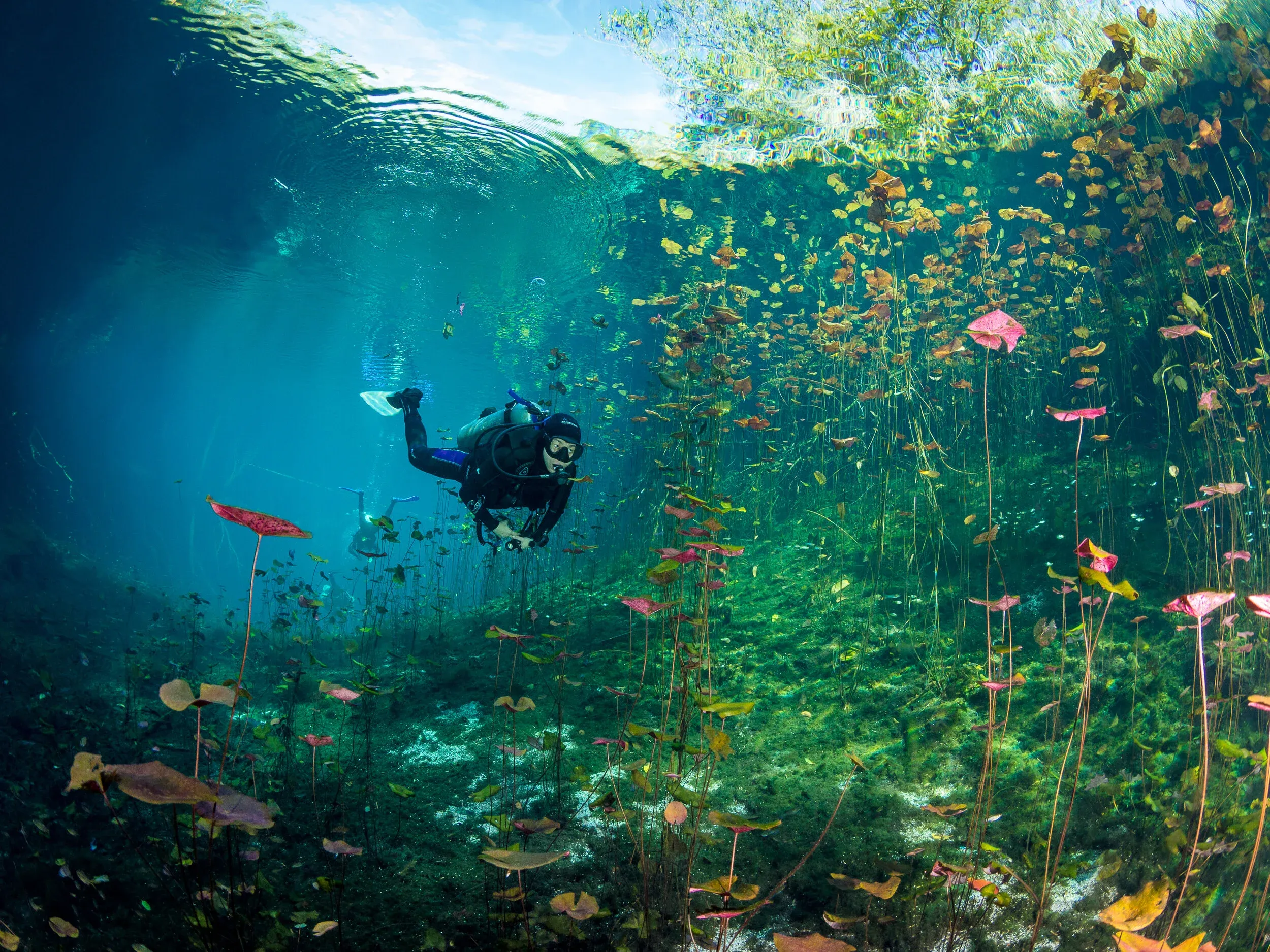 Explore Mexico’s Underwater Realms: Cenote Diving Adventures