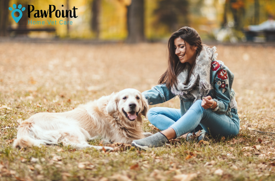 Compassionate In-Home Euthanasia in Calgary for Your Pet Compassionate In-Home Euthanasia in Calgary for Your Pet