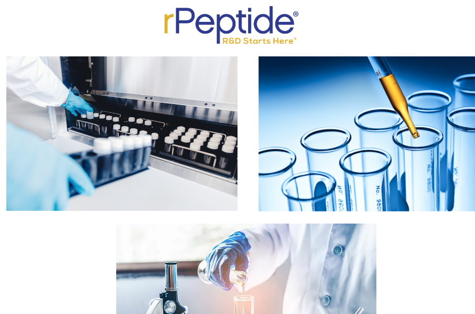Leading Peptide and Protein Company USA for Research Excellence
