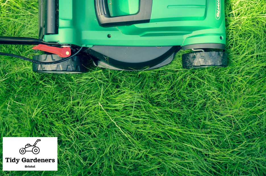 Professional trim garden services in Bristol | Local Experts
