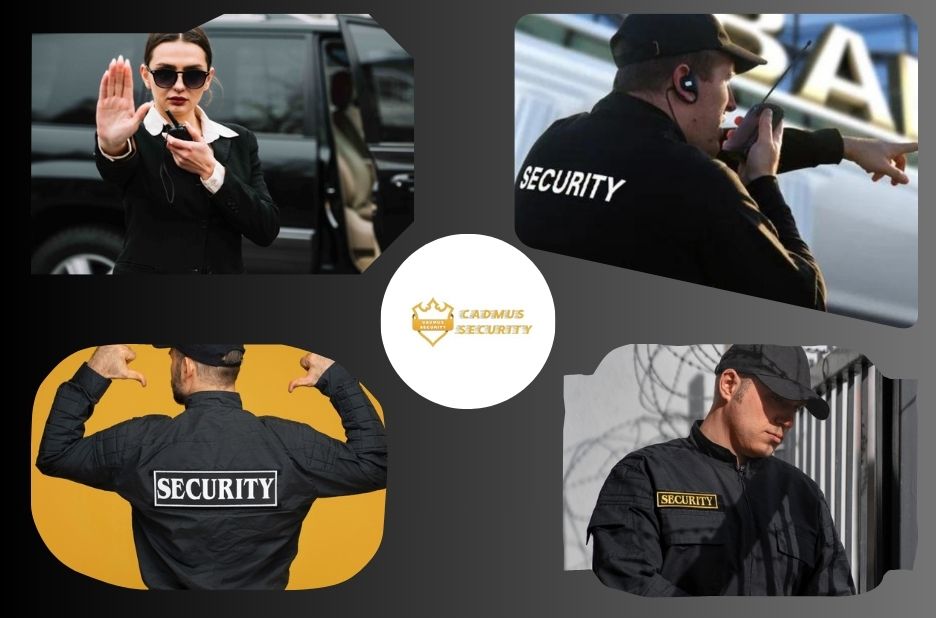 Trusted Security Providers in Chilliwack for Peace of Mind