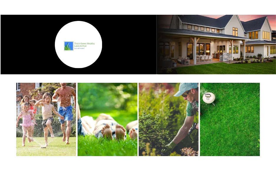 Top Local Lawn Care Services for Healthier, Greener Lawns Near You