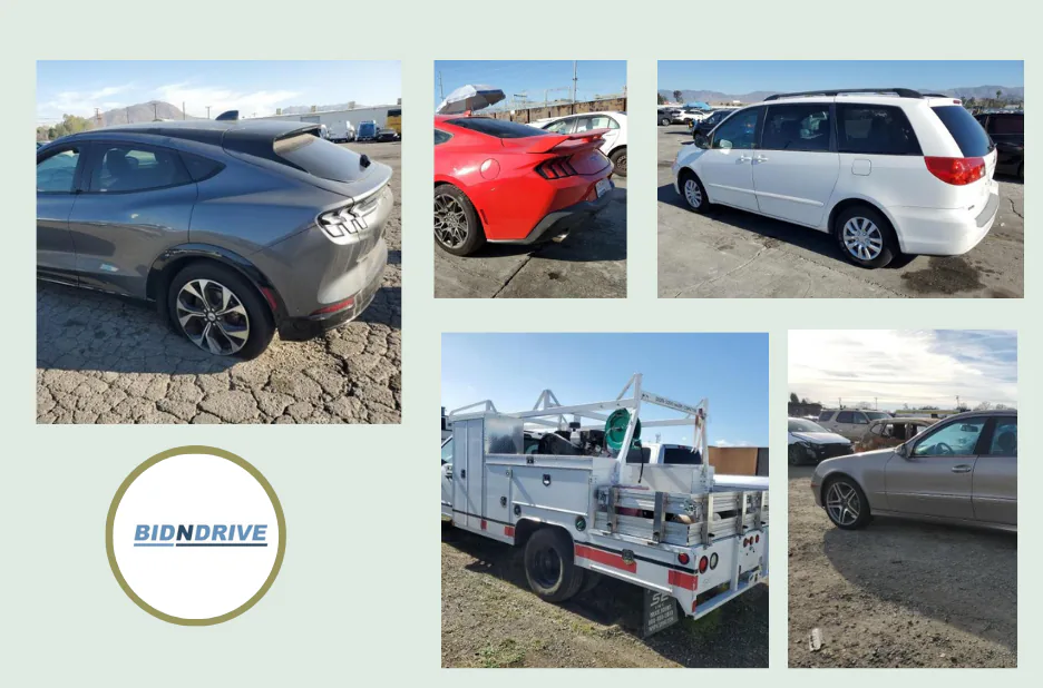 Accident Cars on Sale – Affordable Damaged Vehicles for Repair and Parts