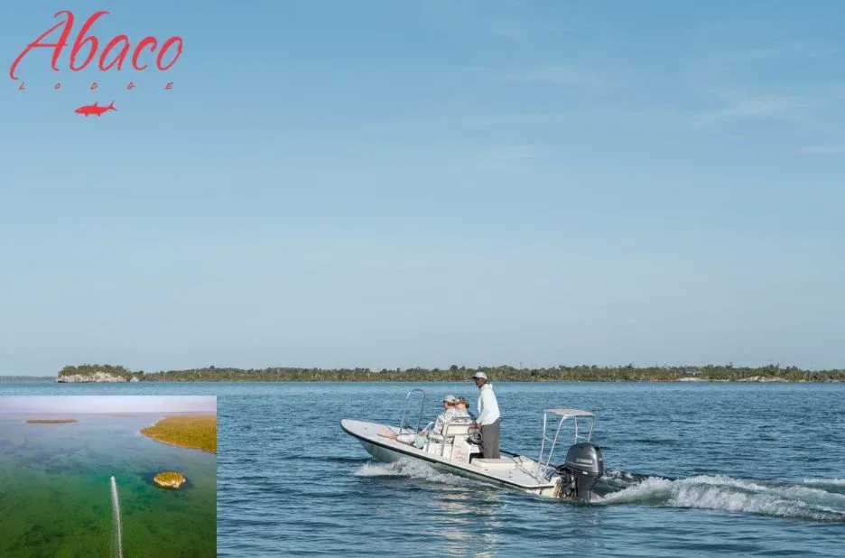 Ultimate Guide to Fishing in Abaco Bahama for Anglers and Adventure Seekers