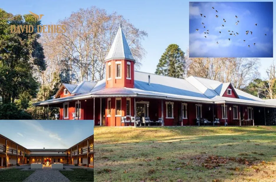 Best Dove Hunting in Argentina: Top Guided Trips and Luxury Accommodations