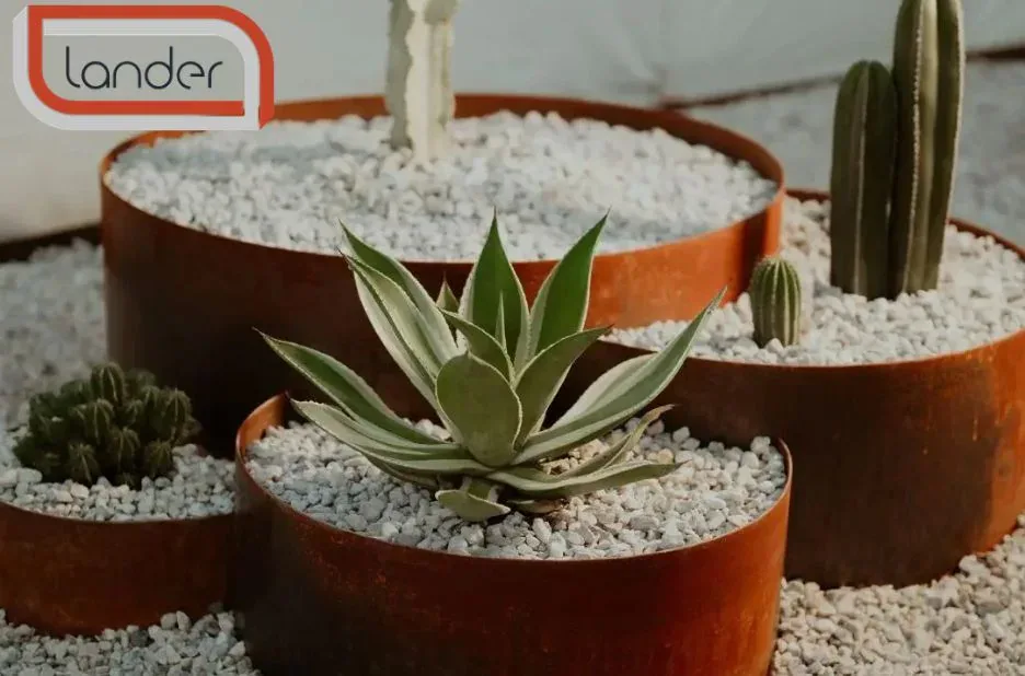 Durable and Stylish Garden Edging Solutions for a Neat and Polished Garden