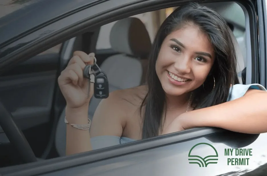 Free Road Signs Quiz for Safe Driving Practice and Learning