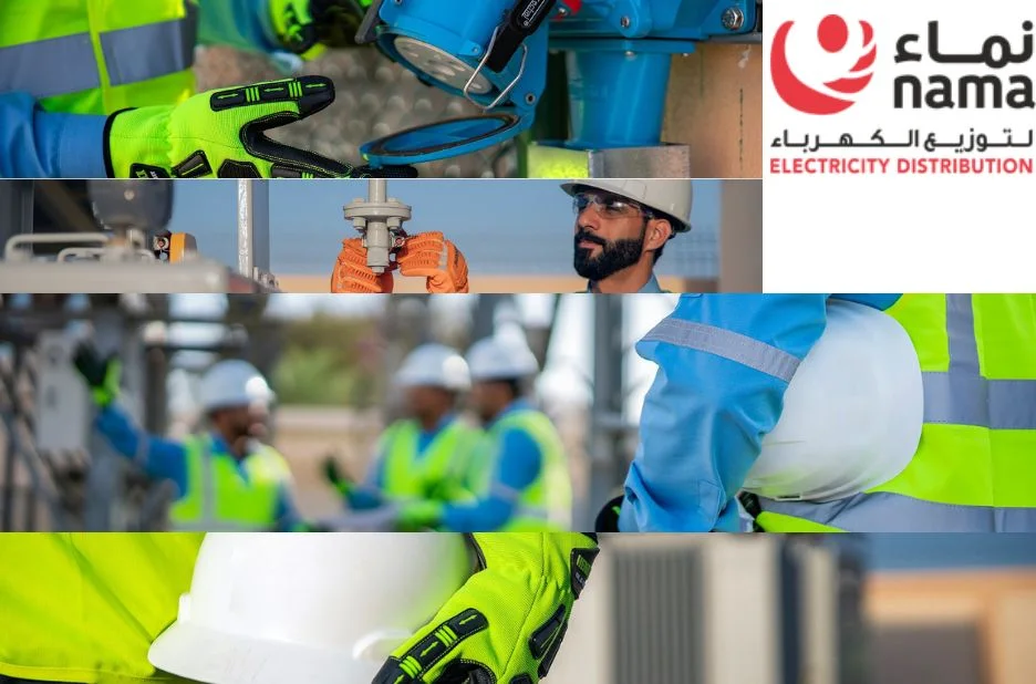 Comprehensive Guide to Electricity Company Financial Statements for Informed Decision Making