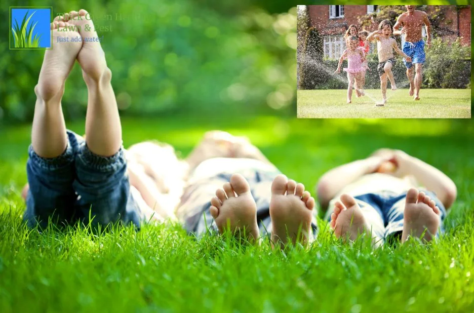 Effective Weed Control Treatments in San Antonio for a Healthier Lawn Effective Weed Control Treatments in San Antonio for a Healthier Lawn