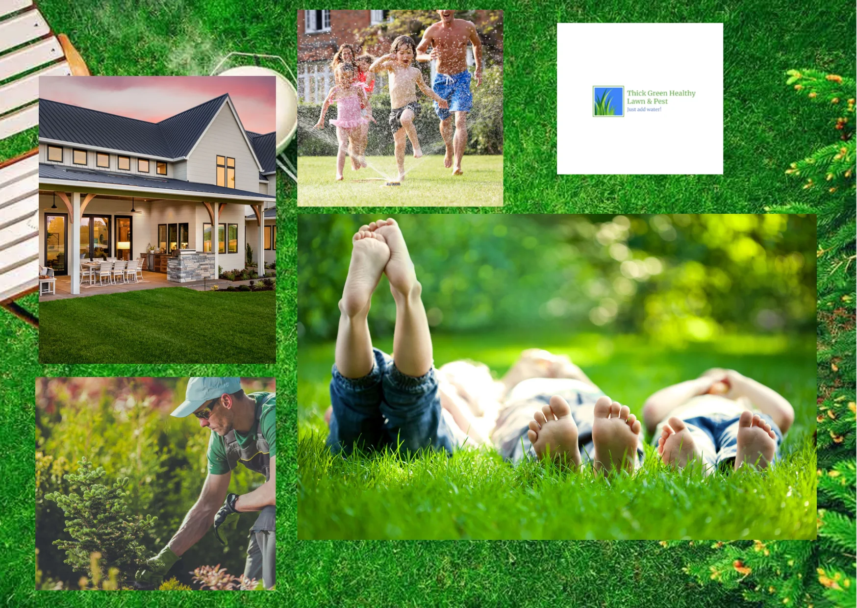 Effective Mosquito Control and Yard Protection Strategies for a Pest-Free Outdoor Space