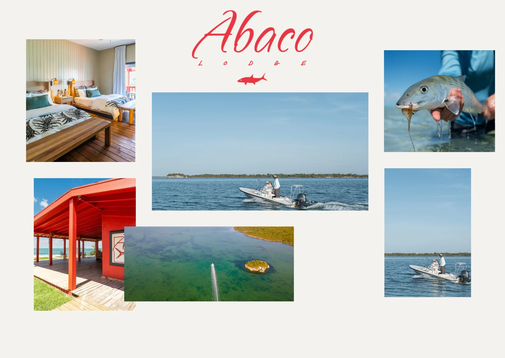 Top Luxury Fly Fishing Lodges in Bahamas for an Unforgettable Angling Experience
