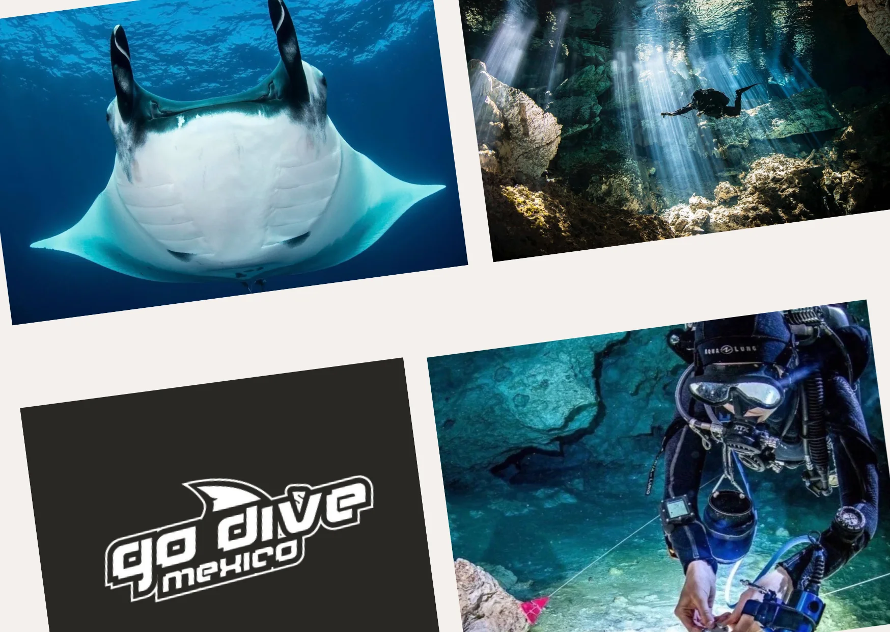 Ultimate Guide to Cenote Diving: Top Spots and Expert Tips for Divers
