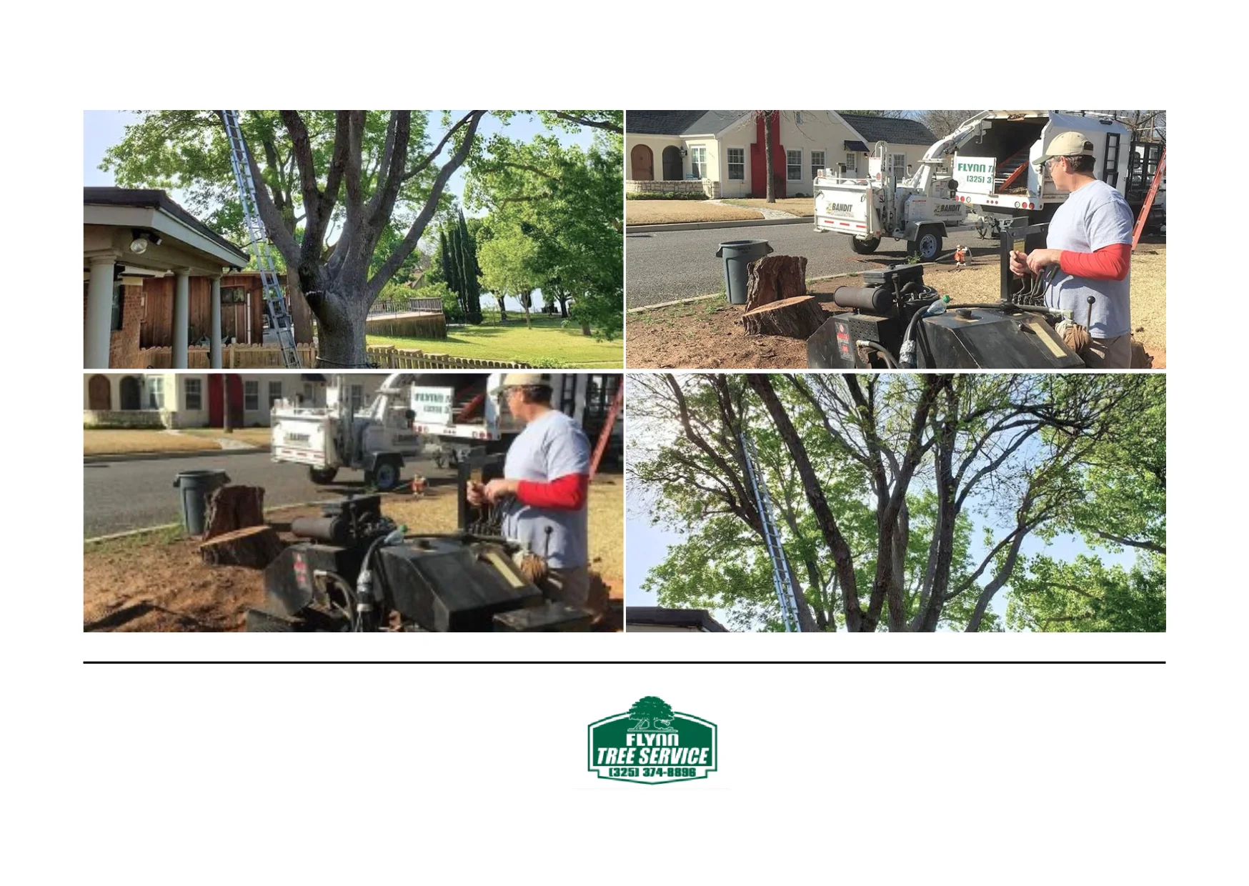 Professional Tree Removal Services for Safe and Efficient Property Care