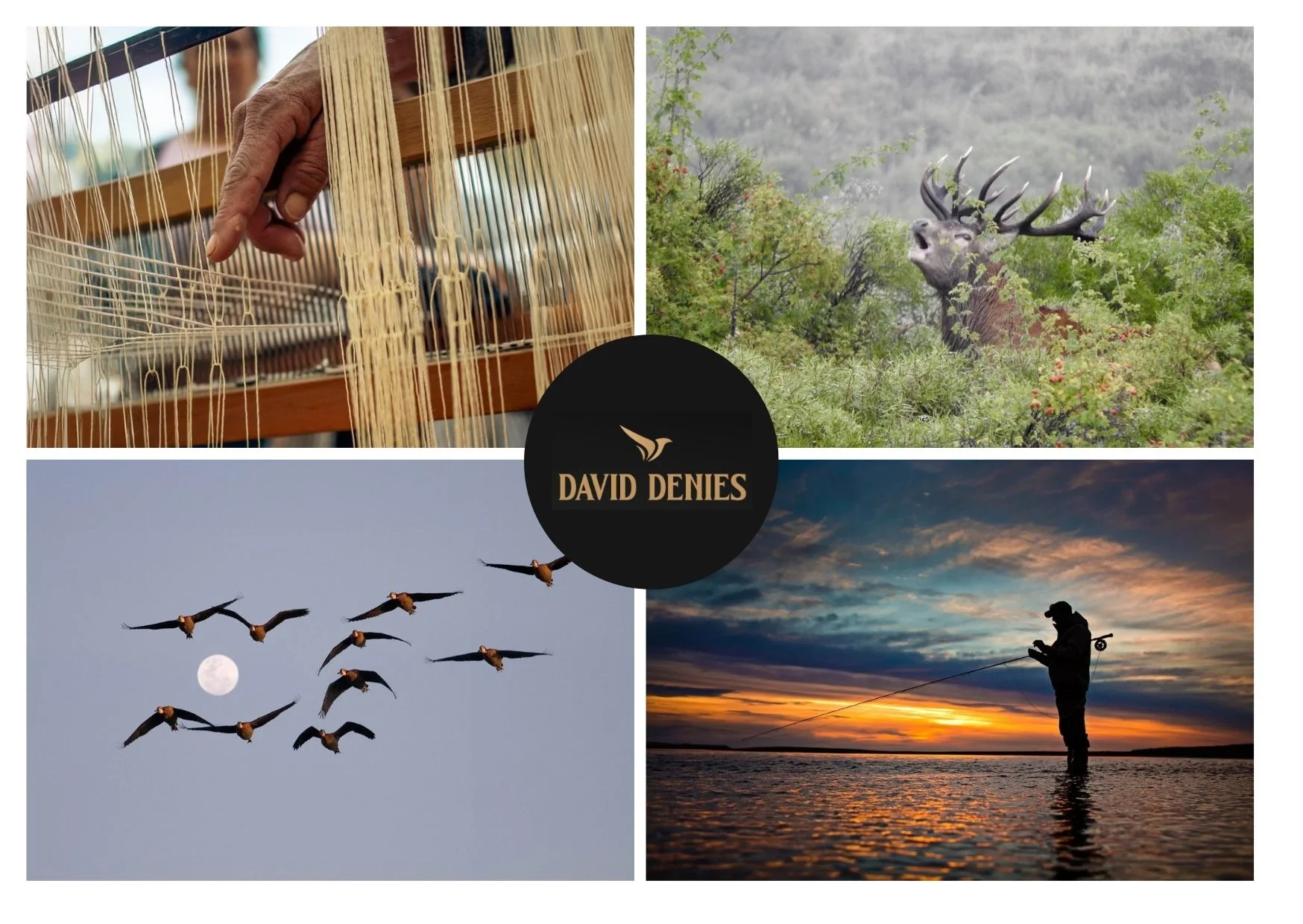 Experience Legendary Cordoba Dove Shooting with High Volume Action and Expert Guidance