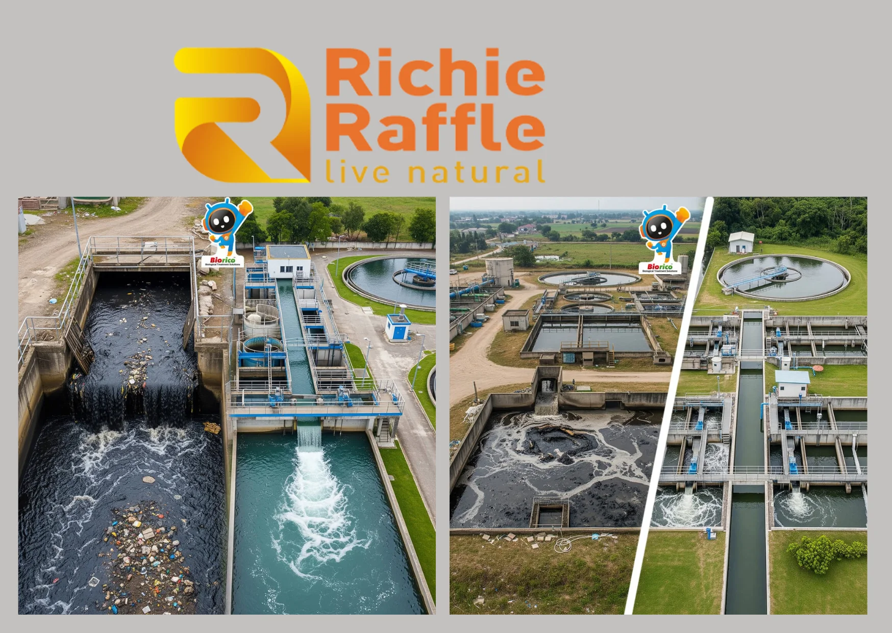 Discover Richieraffle Bio Enzyme Drain Clog Removers – Natural Solutions from India for Cleaner Pipes
