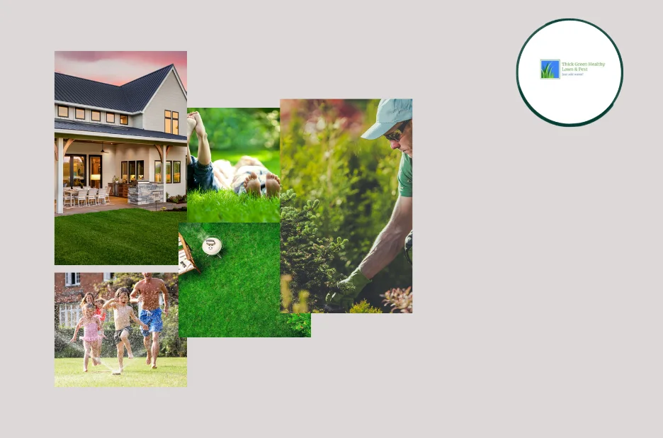 Effective Mosquito Control and Yard Protection Strategies for a Pest-Free Outdoor Space