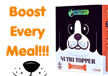 Premium Natural Supplements for Dogs – Only at Vettofit!