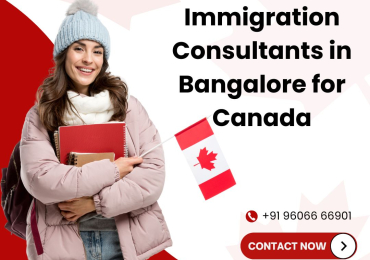 Turn your Canadian dream into reality with Novus Immigration
