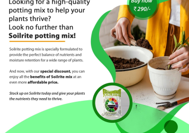 Buy Premium Potting Soil Mix Online – Perfect Soil for Plants!