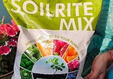 Shop Soil Mixture for Plants