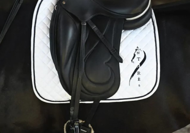 Antares Saddles Canada – Performance and Beauty for the Rider