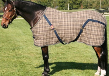 Curvon Baker: Enduring Horse Sheets For All Seasons