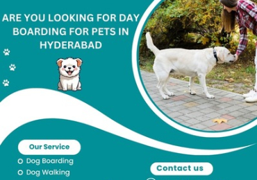 Professional Day Boarding For Pets in Hyderabad
