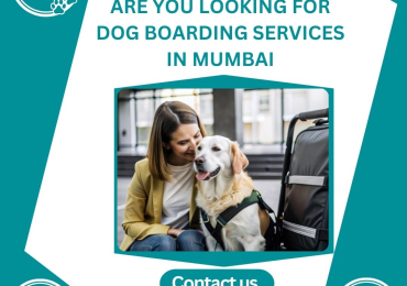Best Dog Boarding Services in Mumbai