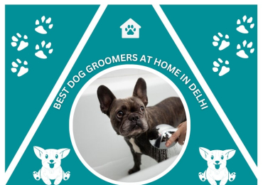 Best Dog Groomers at Home in Delhi
