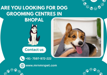 Best Dog Grooming Centres in Bhopal