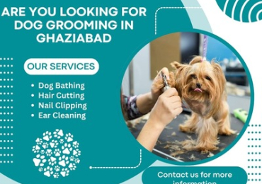 The Best Dog Grooming in Ghaziabad