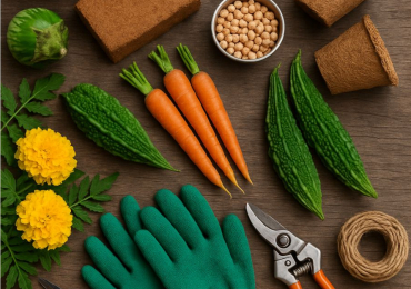 Essential Gardening Tools Every Indian Gardener Needs