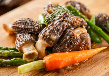 Purchase Morel Mushrooms Online for Gourmet Cooking