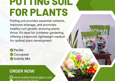 Potting Mix for Indoor & Outdoor Plants – Order Now for Best Gardening Products