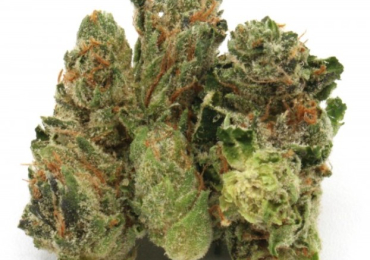 Why Choose Indica Strains for Sleep and Relaxation?