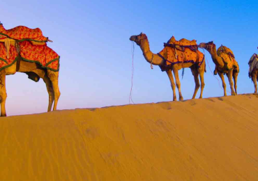 3 Days Tour In Rajasthan | Alxtrip.online