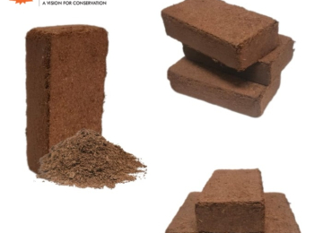 Premium Cocopeat for Plants – Ideal Growing Medium