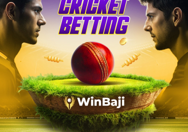 Bet on Cricket Matches Online at Winbaji