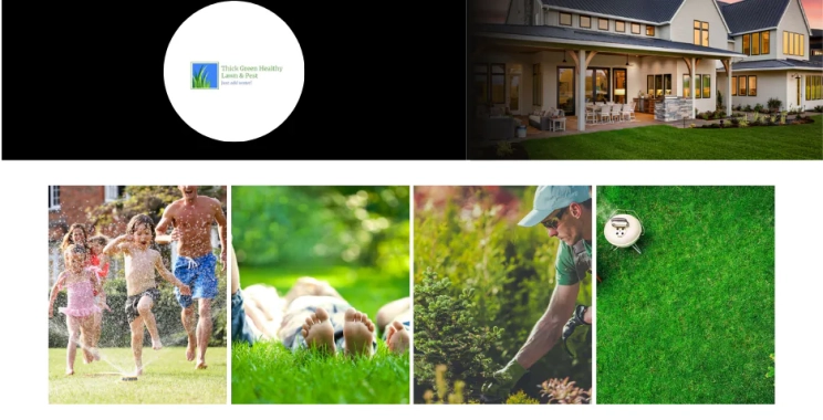Top Local Lawn Care Services for Healthier, Greener Lawns Near You