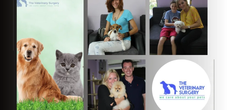 Top Doha Vets Qatar for Expert Pet Care and Wellness Services