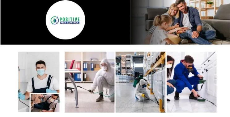 Top Exterminator Calgary Services | Reliable Pest Control Experts