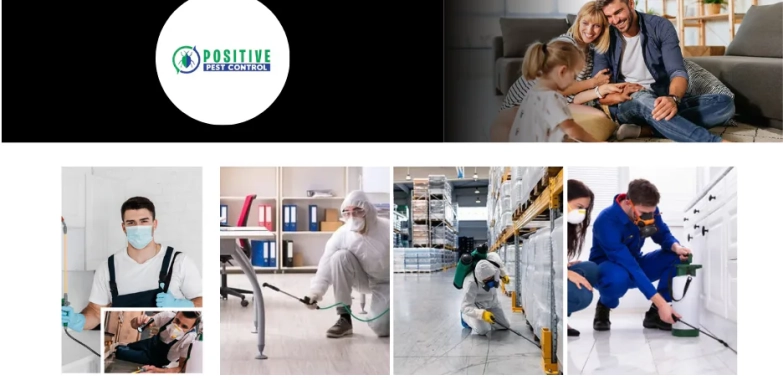 Top Exterminator Calgary Services | Reliable Pest Control Experts