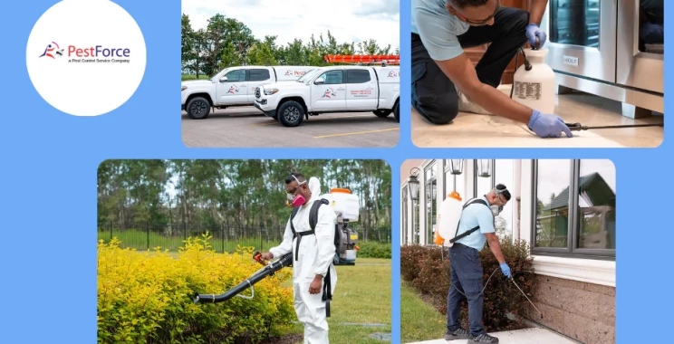 Trusted Calgary Exterminator Services for Fast and Safe Pest Removal