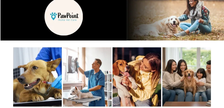 Compassionate Calgary Pet Euthanasia Services | Mobile Vet Care at Home