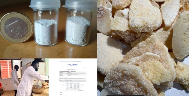 Anp Farms LTD Co. | Botanicdreams.net