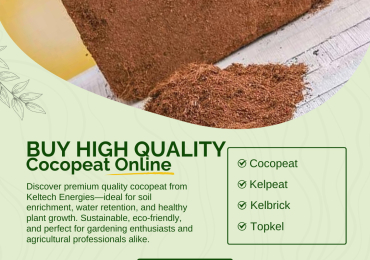 Buy Cocopeat Direct from Manufacturer – Perfect for Plant Growth