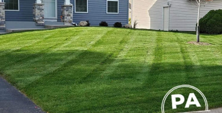 Professional Irrigation Solutions for Commercial Properties in Plymouth