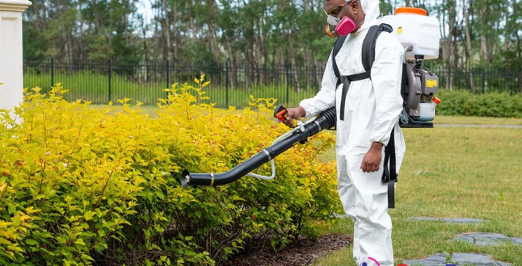 Pest control experts in Calgary — fast, reliable and trusted by homeowners