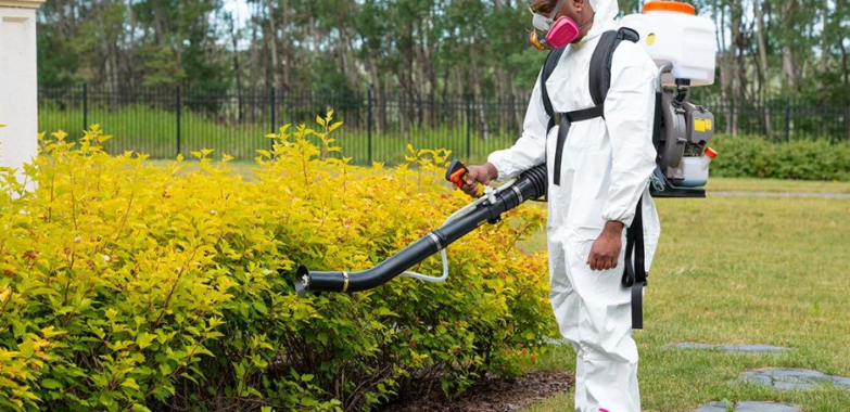 Pest control experts in Calgary — fast, reliable and trusted by homeowners