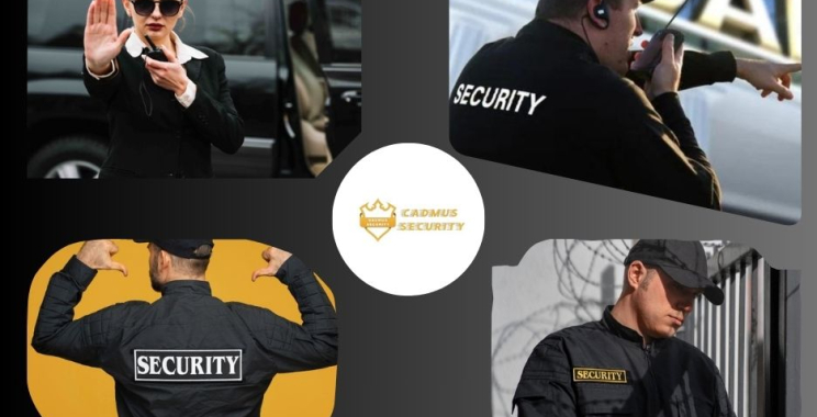 Trusted Security Providers in Chilliwack for Peace of Mind
